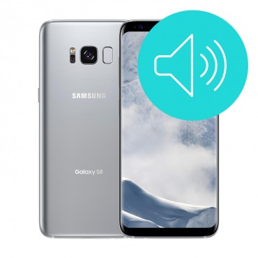 Servis zvočnika za Galaxy S8 Plus
