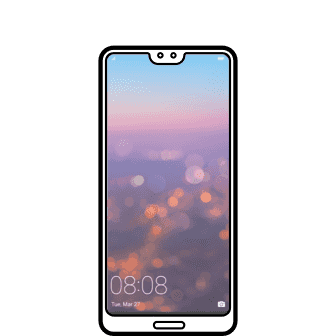 P20 P20